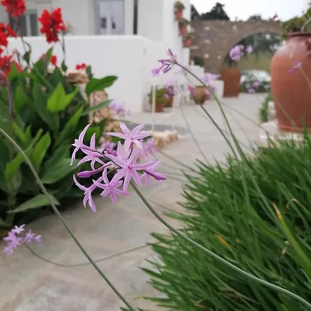 Eleni Dream Village Ubytování v soukromí Páros