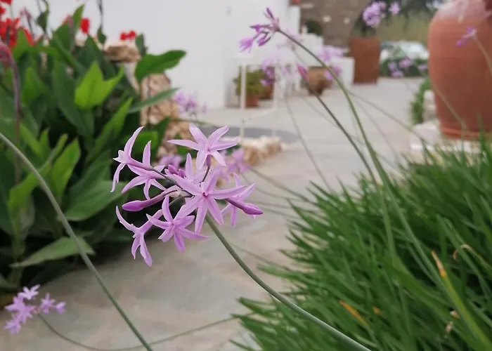 Eleni Dream Village Privatunterkunft Páros