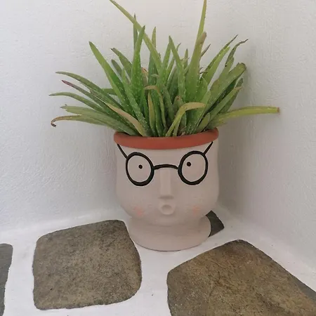 Eleni Dream Village Páros